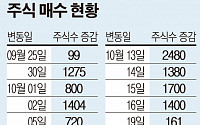 [SP] 조동혁 명예회장, 한 달새 11차례 한솔케미칼 지분 매수…계열분리 가시화