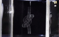 생체조직을 출력하는 신개념 '생체세포 3D 프린터'