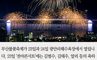 [카드뉴스] 부산불꽃축제 23~24일, 명당 자리는? 수변공원·해운대 장산·황령산·유료좌석