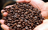 식지않는 한국인의 커피사랑…올해 커피 수입량 사상 최대