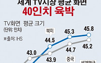 [간추린 뉴스] 세계 TV시장 평균 화면 크기 내년 40인치 넘는다