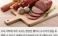 [카드뉴스] 햄이 발암물질? 햄·소시지 얼마나 먹으면 안전할까?