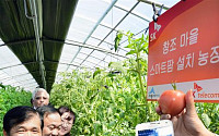[창조경제 혁신센터 1년]SK 세종센터, ‘스마트팜’ 농업한류 이끈다