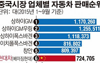 [글로벌 현대차 두얼굴] 중국시장서 굴욕…자동차 판매순위 5위 밖으로 밀려나