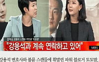 [카드뉴스] ‘강용석 스캔들’ 도도맘, 악플 올린 일베 회원 무더기 고소