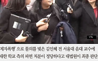 [카드뉴스] 김인혜 전 서울대교수 파면 정당… 그간 비리의혹들 보니
