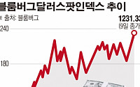 강달러, 글로벌 금융시장 직격…맥 못추는 신흥국 통화·원자재 가격