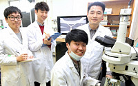 인제대 한기호 연구팀, 암세포 실시간 측정 기술 개발