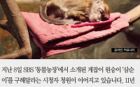[카드뉴스] “동물농장 삼순이를 살려주세요”… 제작진 “집에서 키울 수 없다”