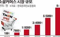 [간추린 뉴스] 소셜커머스 3인방 ‘연말 막판 스퍼트’