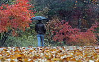[일기예보]오늘 날씨, 전국 흐리고 곳곳에 비…강원영동·경상·제주엔 내일까지 이어져