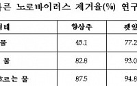 꼼꼼히 물 세척만 해도 노로바이러스 제거