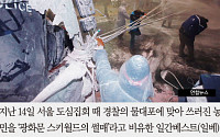 [카드뉴스] 물대포에 쓰러진 농민을 '썰매타는 친구'로… 일베 회원 피소