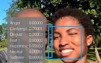 인간의 감정을 수치로 보여주는 '프로젝트 옥스퍼드'