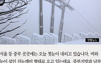 [카드뉴스] 서울 첫눈… 이번 주말 스키장 가볼까?