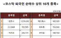 [코스닥 외국인 순매수 상위 10개 종목]