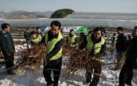 농협 임직원, &quot;폭설한파 한마음으로 이겨내요&quot;