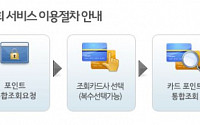 내 포인트 소멸하기 전에 사용하려면… 카드포인트 통합조회 '눈길'