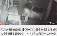 [카드뉴스] 길고양이 잡아 ‘생고기’로 판매… ‘캣맘’이 잡았다