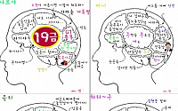 청춘불패 G7 멤버들 뇌구조도 &quot;폭소&quot;