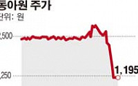[SP-공시] 전두환 사돈기업 동아원, 워크아웃 신청…주가 15% 하락