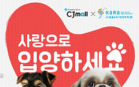 [오늘의 이벤트&amp;할인] CJ몰 유기 동물 신년 이벤트, 신라면세점 새해 맞이 행운 이벤트 등