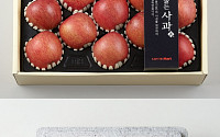 롯데마트, 설 선물세트 예상 소비자 기상도…사과ㆍ배 엇갈려