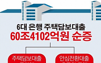 [데이터뉴스]6대은행 주택담보대출 지난해 60조원 순증