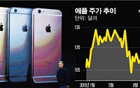 애플 주가, 2014년 10월 이후 최저치로 추락…월가, 애플 위기설 놓고 ‘갑론을박’