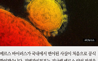 [카드뉴스] “메르스, 한국에서 첫 변이” 질병관리본부 공식 확인