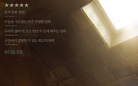 영화 ‘룸’, 3월 국내 개봉…'7년의 감금, 실화 그 이상의 드라마'