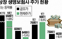 보험사 IPO 잔혹사..삼성생명 6년째 공모가 미달