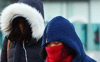 [포토] 올겨울 최저기온 '얼굴을 가려라'