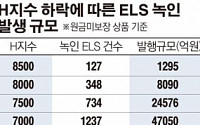 노후자금 몰린 ELS ‘녹인 공포’ 현실화…추정손실 8000억