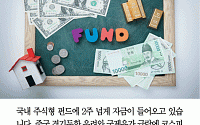 [카드뉴스] “쌀 때 사자” 주식형 펀드, 2주 넘게 순유입 행진…7000억원 자금몰이