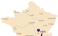 [장홍의 와인 여행] 보졸레 누보 이야기- ‘봄 마케팅’이 ‘通’했다