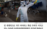 [카드뉴스] “지카 바이러스, ‘제2 에볼라’ 우려 확산…브라질 올림픽 장애요인 안될 것”