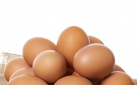 “계란 ‘당뇨병·고콜레스테롤 주범’ 아니다”