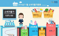 [종합]1월 소비자물가 0.8% 상승…석달만에 0%대 복귀