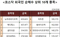 [코스닥 외국인 순매수 상위 10개 종목]