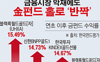 [간추린 뉴스] 금융시장 악재에도 홀로 빛나는 금펀드