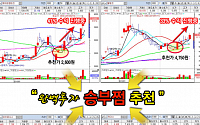 [증권정보] 무료 종목추천마다 상한가 행진!