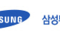 [우리회사 명품펀드(1)]삼성투신, '삼성 스트라이크 펀드' 