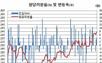 [환율마감] 1238.8원 ‘5년8개월만 최고’..역외매수