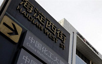 글로벌 은행, 중국 최대 해외 M&amp;A 켐차이나에 대출 ‘군침’