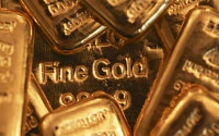 올해 금이 최고의 투자처?