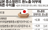 일본은 죽 쑤는데, 日중소형주 펀드는 ‘잘 나가네’