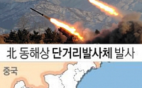 북한 동해상 단거리 발사체 발사…발사 원점과 타격 목표 어디?