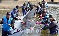 [포토] '양재천을 깨끗하게'