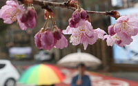 [일기예보] 내일 날씨, 전국 곳곳 비 또는 눈…'서울 아침 -1도' &quot;다시 꽃샘추위, 언제까지?&quot;